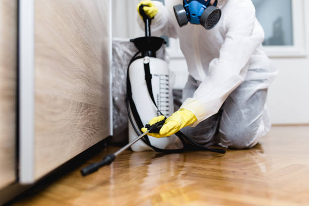 Best Residential Pest Control  in Trafalgar, IN