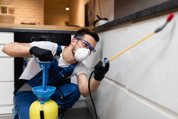Best Mosquito Control Services  in Trafalgar, IN