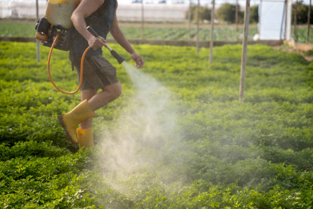 Best Local Pest Control Services  in Trafalgar, IN
